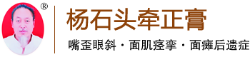 襄城县杨石头牵正膏有限公司
