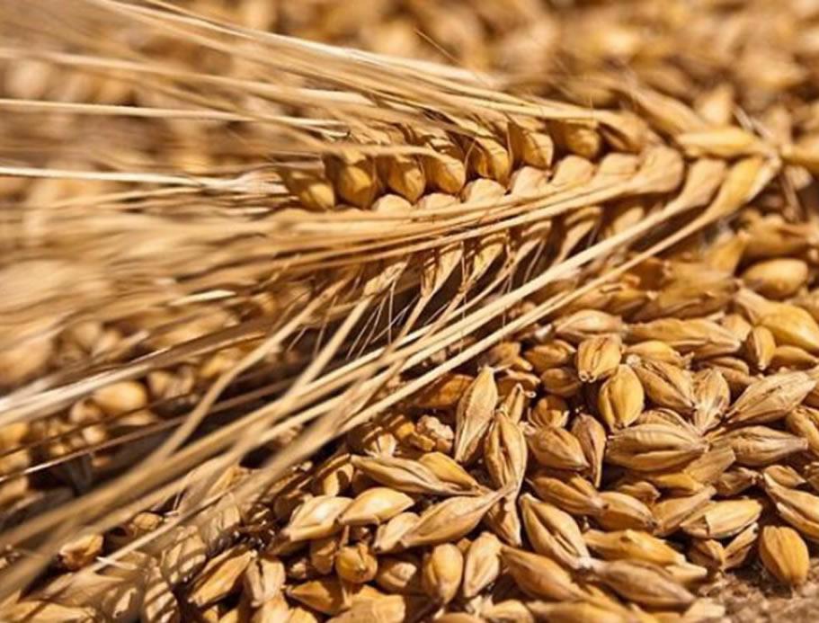 面肌痉挛为什么会缠上我?